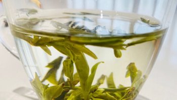 西湖绿茶，你的养生新选择！