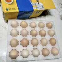 黄天鹅季‖黄天鹅可生食鸡蛋