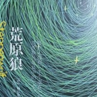 荒原狼：孤独与自由的交响曲，唤醒你的野性！