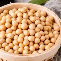 科学解析：豆制品如何助力营养均衡