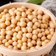 科学解析：豆制品如何助力营养均衡