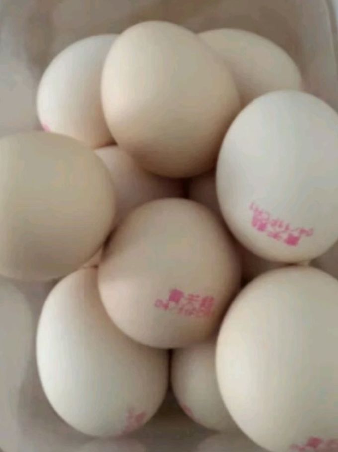 惊叹黄天鹅鸡蛋的美味秘密