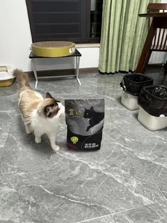 家里怎么能没有这款鲜肉猫粮