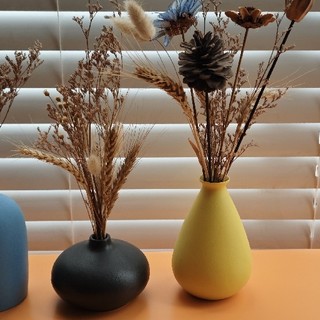 ????小干花与莫兰迪陶瓷花瓶，点亮北欧风情客厅的绝配????