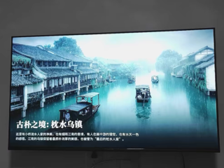 TCL 雷鸟雀5SE 43英寸高画质家庭防蓝光智能网络平板电视机