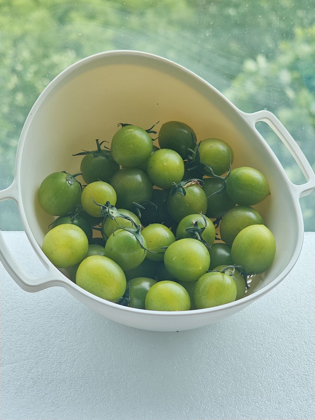 西绿柿!宇宙寿光精品绿宝石!