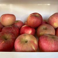 旭耕烟台有机认证红富士苹果，4.8斤装，脆甜多汁，健康轻食首选