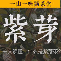 老衲的茶话会 篇五十五：“紫芽”是一种茶树品种吗？详细聊聊云南的“紫芽茶”