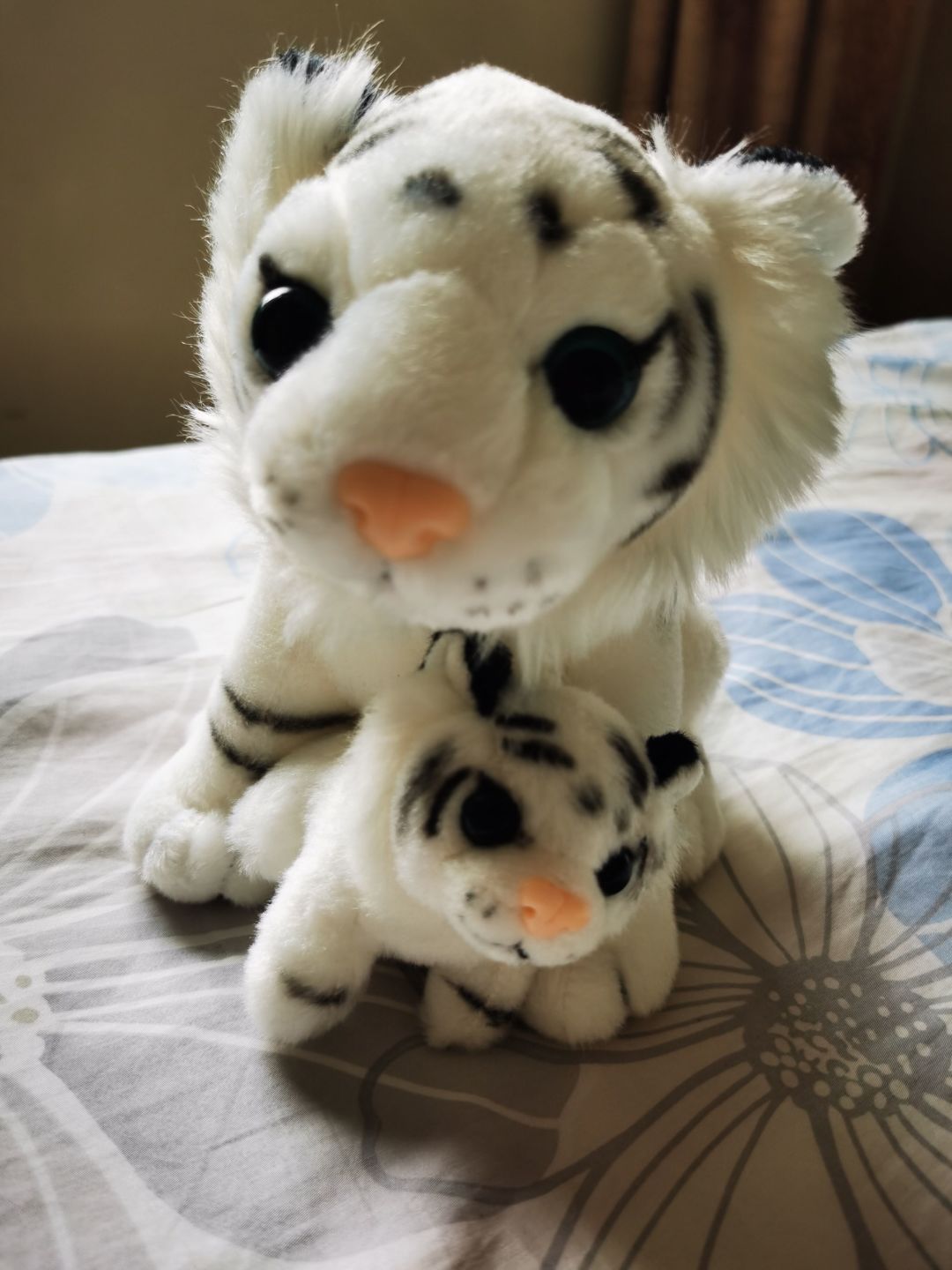 小老虎和它的妈妈