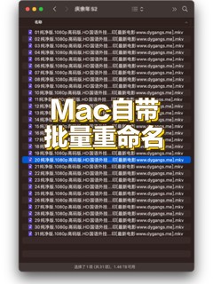 Mac如何批量重命名｜送给强迫症的礼物