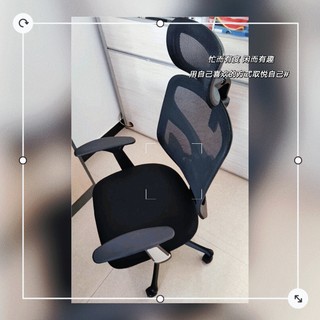 西昊M56人体工学椅