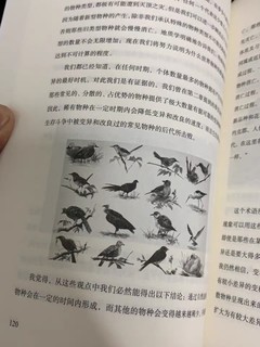 《物种起源》