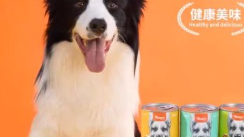 顽皮狗狗零食狗罐头：宠物健康的美味选择