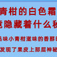 🍊小青柑的白色霜体，究竟隐藏着什么秘密？🔍