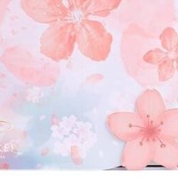 派克威雅XL系列樱花粉特别款礼盒：毕业季的温馨选择