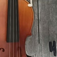 塞尔夫（SCHAAF）4/4小提琴SVA-800成人儿童初学考级演奏手工单板