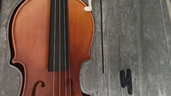 塞尔夫（SCHAAF）4/4小提琴SVA-800成人儿童初学考级演奏手工单板