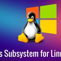 微软升级 Win11 Linux 子系统 ：图形化界面设置 CPU 核心、内存等