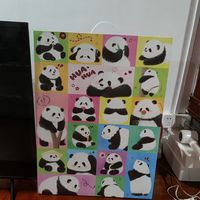 好看可爱的熊猫拼图你们有入手吗