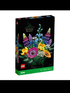 乐高（LEGO）积木10313繁花18岁+玩具 ICONS系列D2C限定款 生日礼物