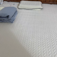 乳胶床垫家用软垫夏季冰丝凉席薄床褥子学生宿舍单人可水洗床护垫