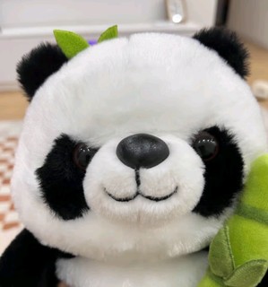🎁 尚韵生日礼物🎁 女生抱竹子熊猫毛绒玩具，甜梦守护神来啦！🐼