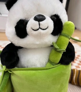 🎁 尚韵生日礼物🎁 女生抱竹子熊猫毛绒玩具，甜梦守护神来啦！🐼