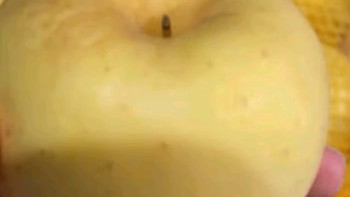 618种草之京鲜生 山东黄金维纳斯苹果 净重4.2斤