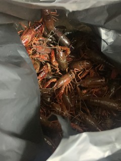 人生第一次☝️烧虾球🦞