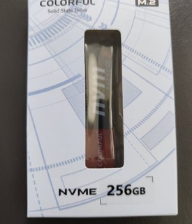 七彩虹(Colorful)  256GB SSD固态硬盘 M.2接口(NVMe协议)  CN600系列PCIe 3.0 x4