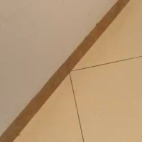 家里的地板有蟑螂怎么消灭