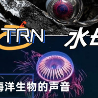 听听海洋生物的声音：TRN水母耳机评测