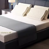Dunlopillo天然乳胶床垫进口天然橡胶床垫榻榻米垫至尊床褥可定制