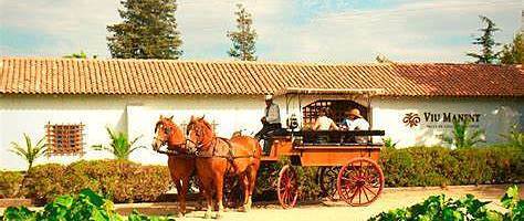 618薅羊毛活动来啦！！！威玛单一园半价福利~~~