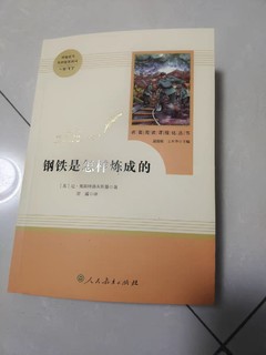 《钢铁是怎样炼成的》经典文学名著！初中的时候必读