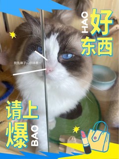 实木猫爬架，是猫咪的乐园