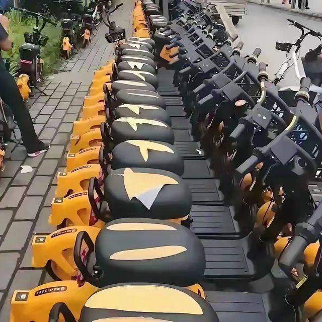 共享电动车老板赔惨了