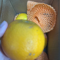 京鲜生的广西夏橙