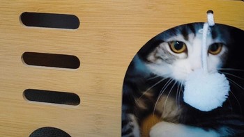 猫抓板窝：耐磨不掉屑的四季通用猫屋