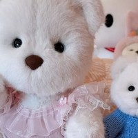 TeddyTales莉娜熊：爱的传递与陪伴