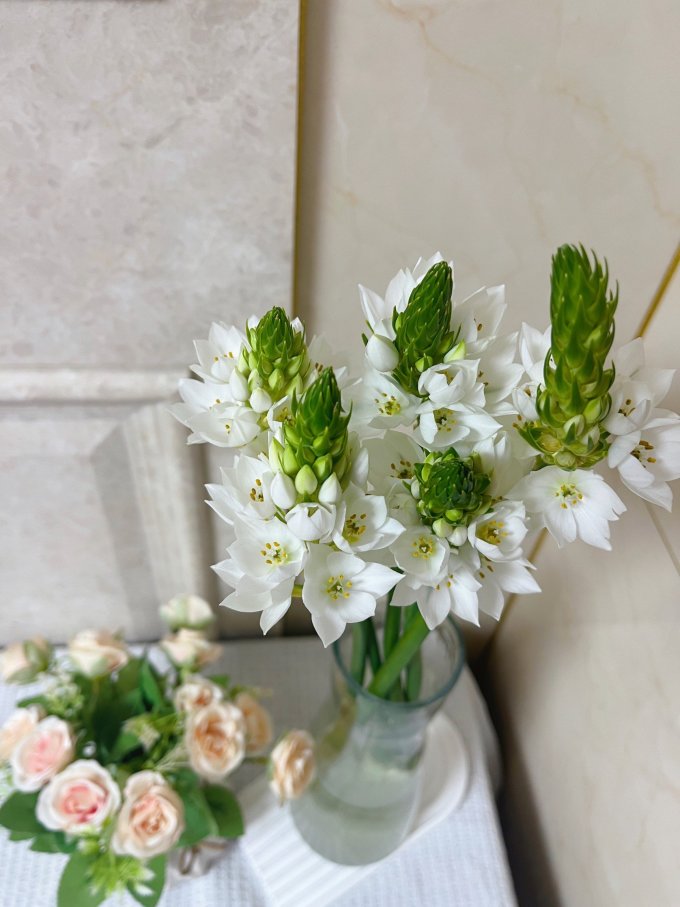 98商品名称:新鲜雀梅圣心百合鲜花家庭办公室瓶插水养鲜切花卉花期