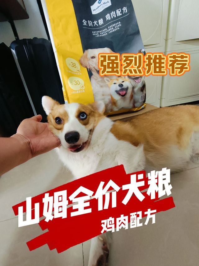 无限回购！山姆全价犬粮