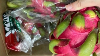 京鲜生：品味越南进口红心火龙果的新鲜魅力