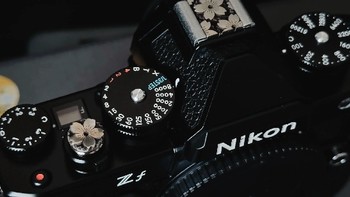 Nikon ZF｜打鸟界的颜值担当