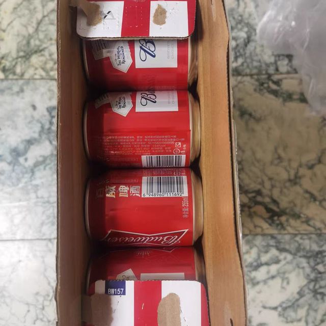 Budweiser/百威小麦醇正啤酒整箱Mini罐装