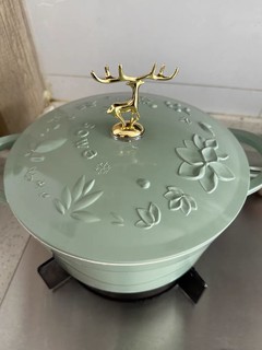 sowe陶瓷珐琅锅家用炖锅炖蛊汤锅焖烧锅燃气通用砂锅煲搪瓷不粘锅