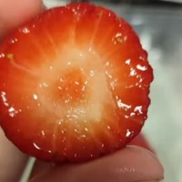中国特产之北京昌平草莓