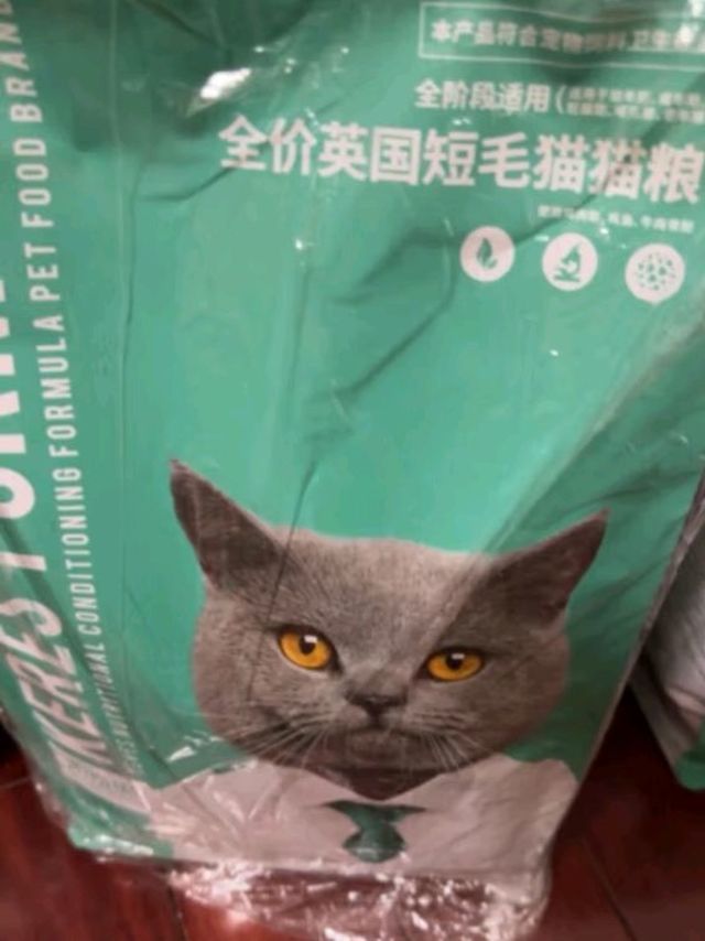 凯锐思英短猫粮