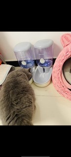 猫咪饮水机狗狗宠物自动喂水器狗喂食喝水神器流动不插电用品大全