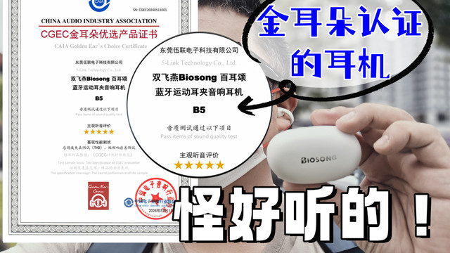 "五星音质认证"不同凡响啊!双飞燕百耳颂